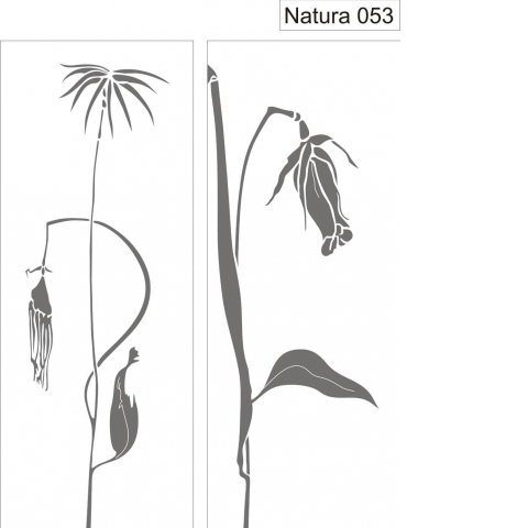 Natura 053.jpg