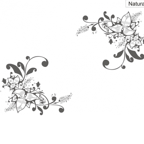 Natura 069.jpg