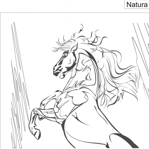 Natura 073.jpg