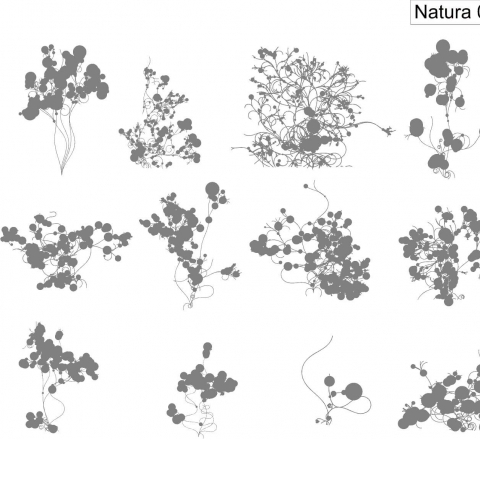 Natura 082.jpg